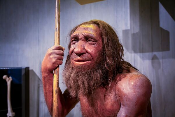 Neandertal insanının beyni bizimkinde büyüktü.